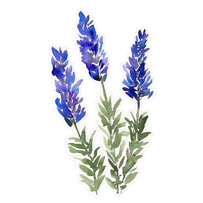 Loose Watercolor Lavender Flowers Print and Cut SVG Cutting File
