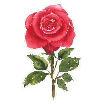 Red Watercolor Rose Bouquet by Clikchic Designs available at the Silhouette Design Store