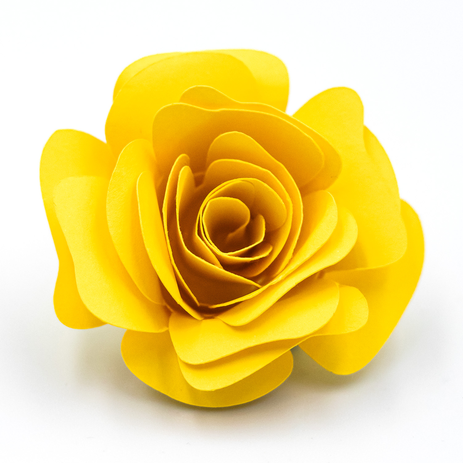 Variety Petals Rolled Flower by Clikchic Designs