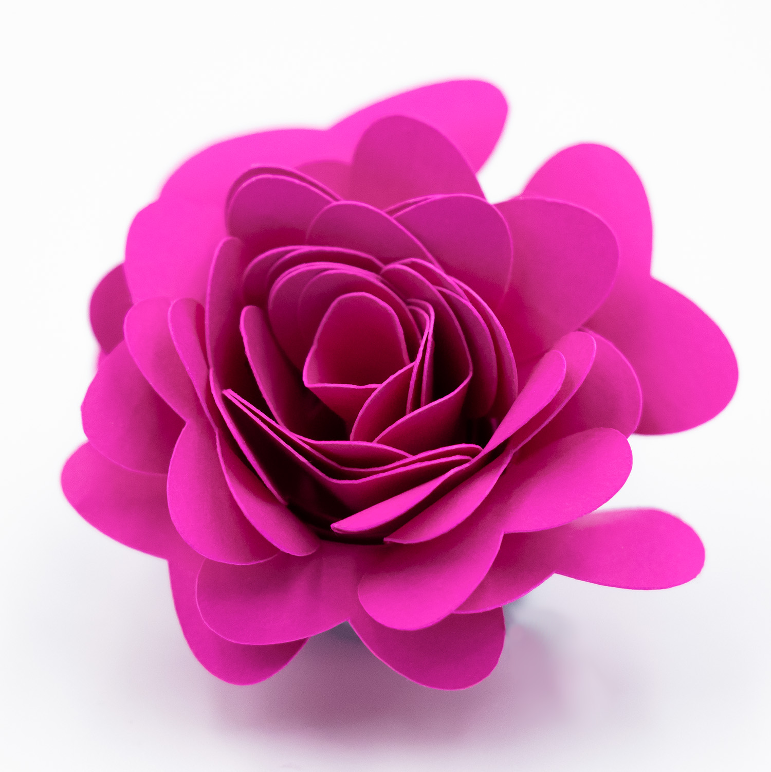 rolled paper flower with vivid pink heart-shaped petals by Clikchic Designs