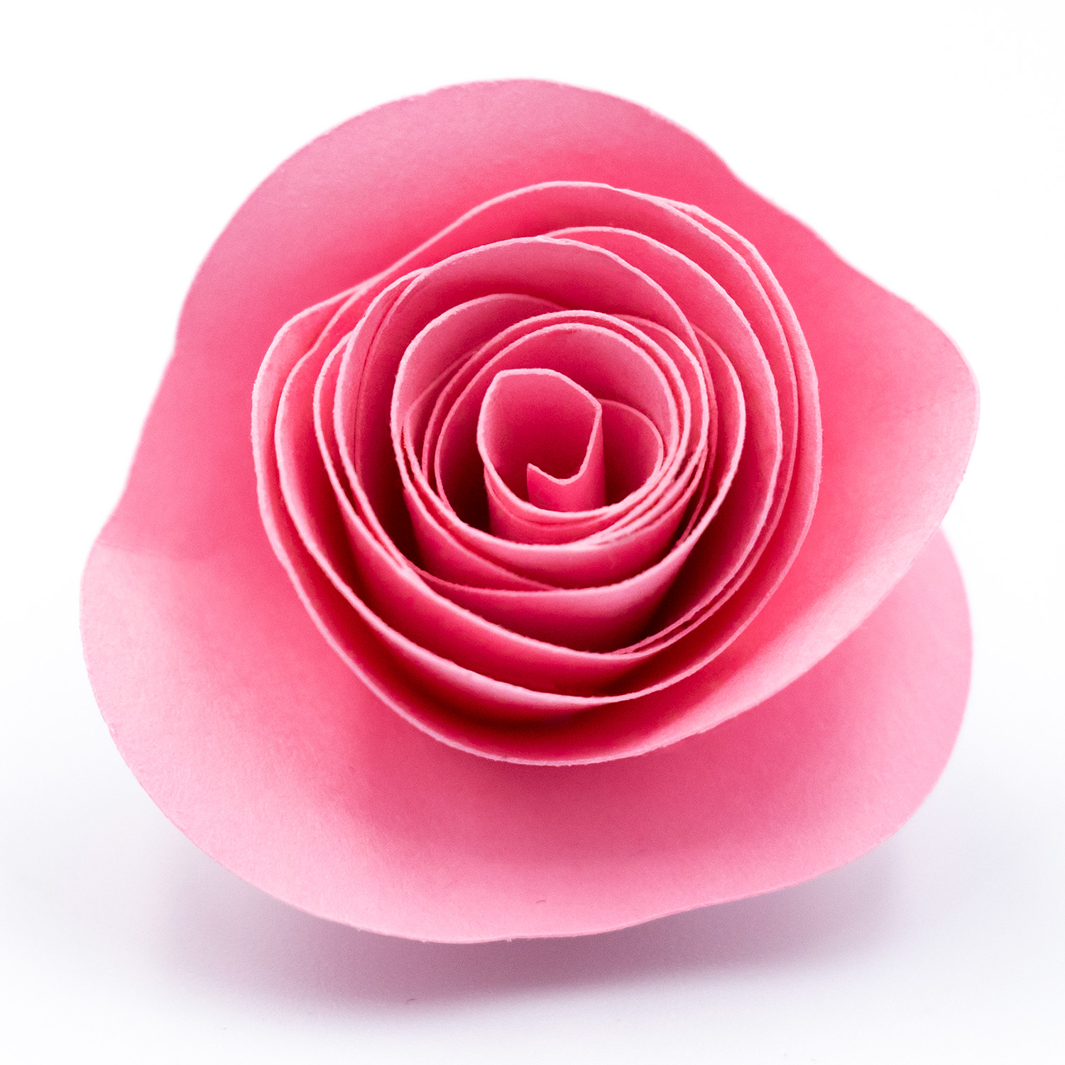 pink rolled paper flower with flowing wavy petals by Clikchic Designs