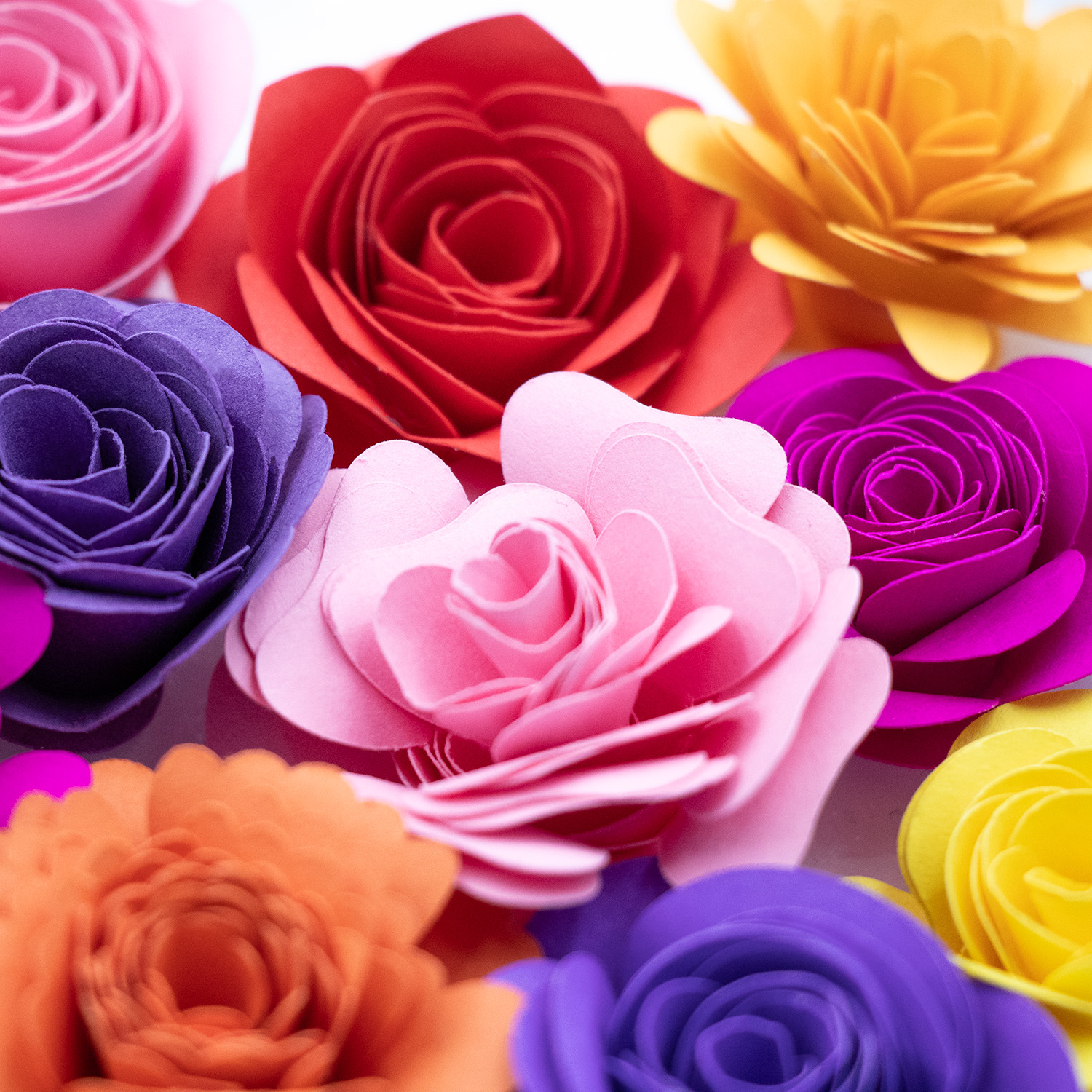 How to Make Rolled Paper Flowers (Free Tutorial)